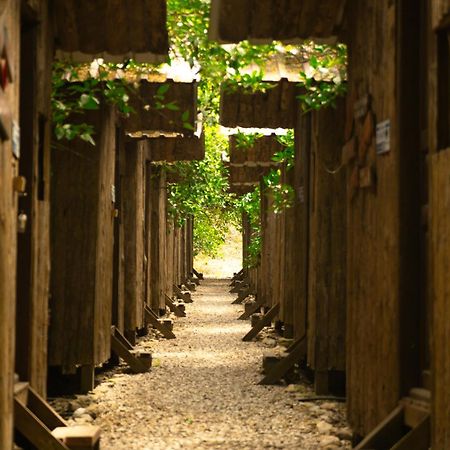 Olympos Yakamoz Pansiyon Extérieur photo