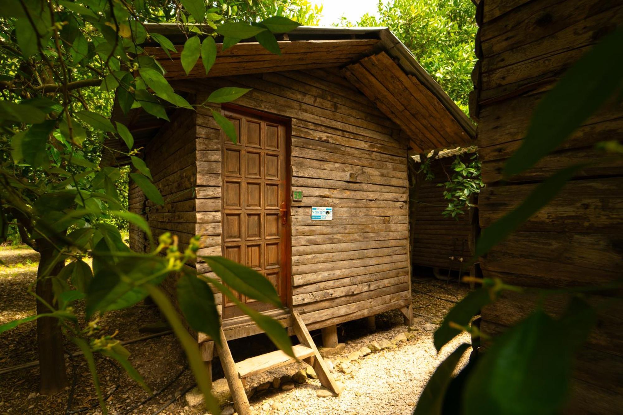 Olympos Yakamoz Pansiyon Extérieur photo