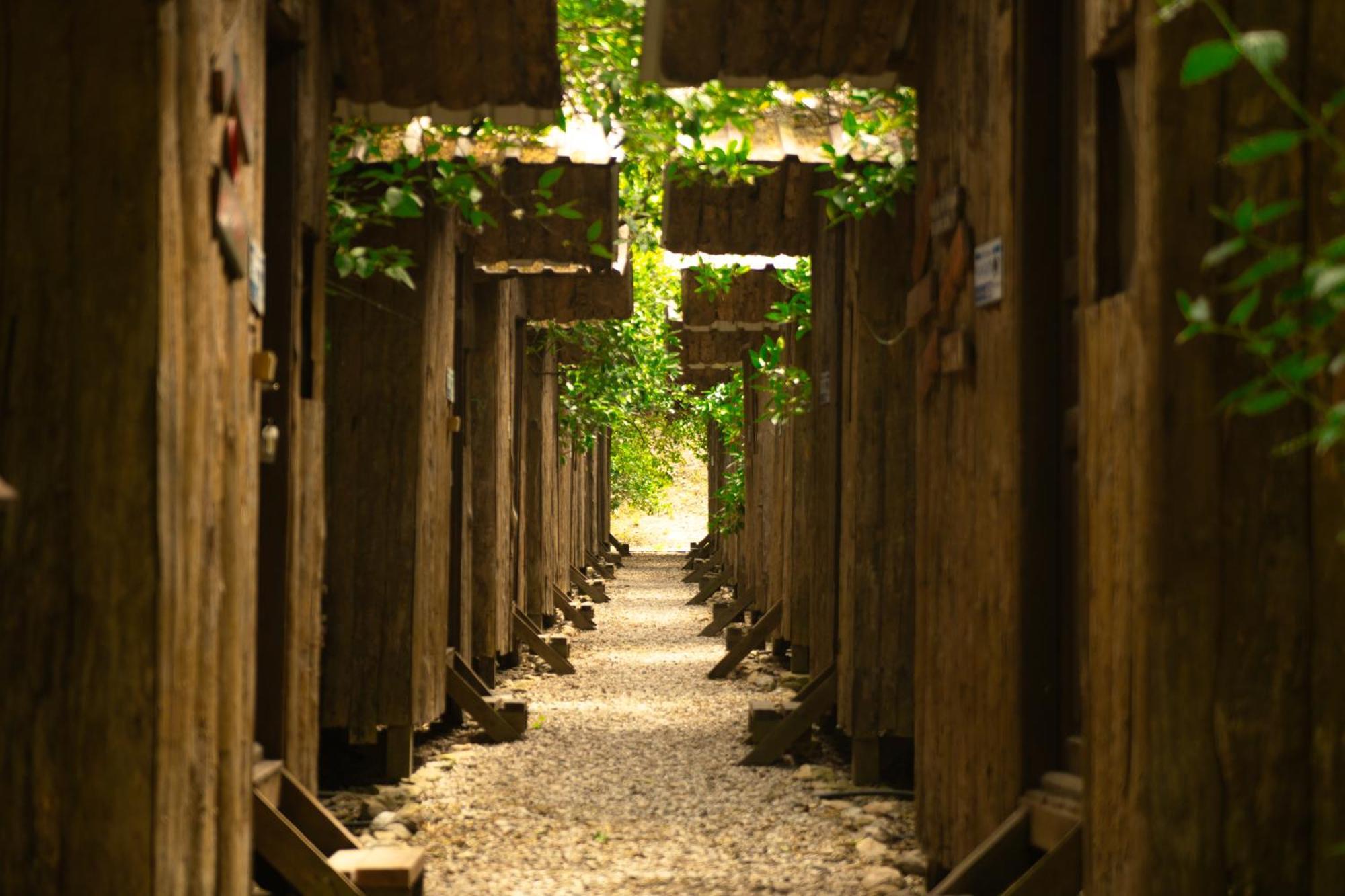 Olympos Yakamoz Pansiyon Extérieur photo
