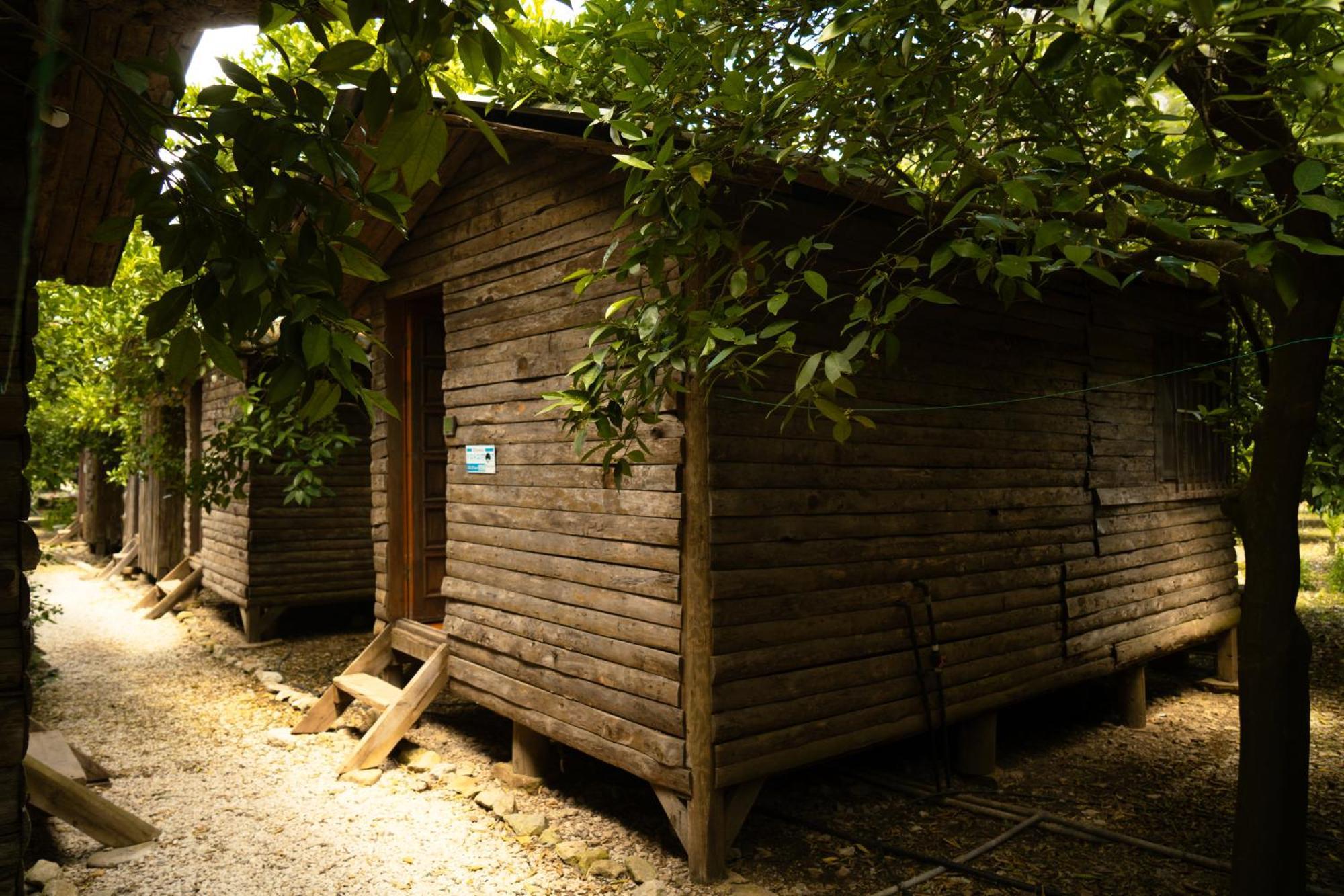 Olympos Yakamoz Pansiyon Extérieur photo