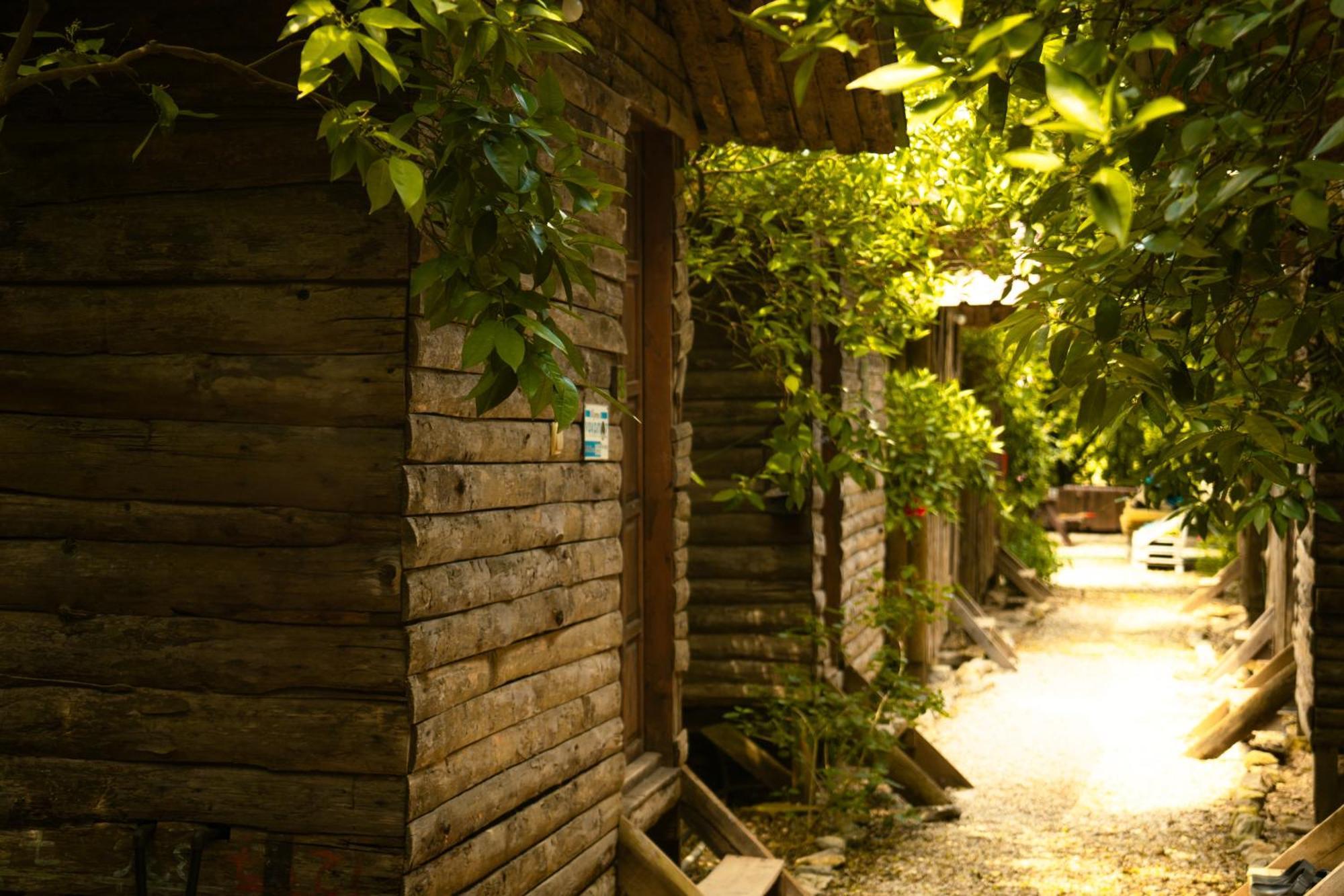 Olympos Yakamoz Pansiyon Extérieur photo