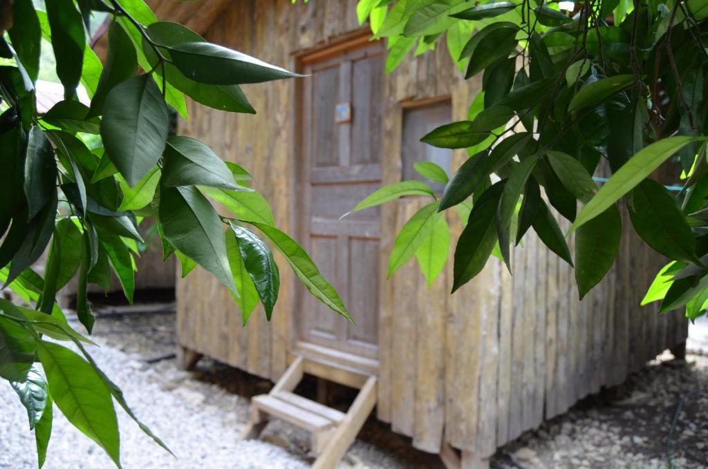 Olympos Yakamoz Pansiyon Chambre photo