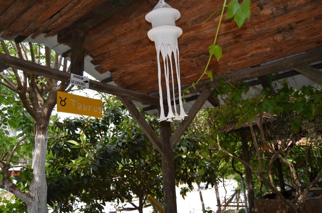 Olympos Yakamoz Pansiyon Extérieur photo