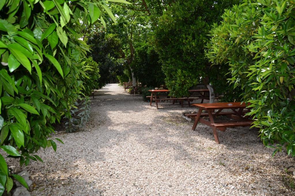 Olympos Yakamoz Pansiyon Extérieur photo