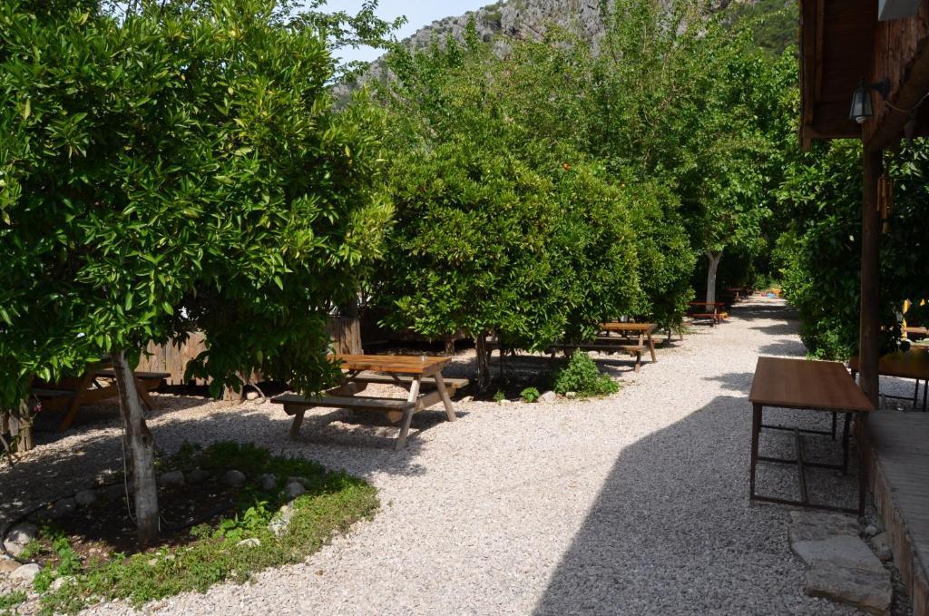 Olympos Yakamoz Pansiyon Extérieur photo