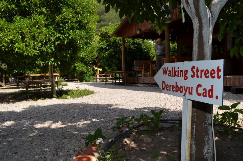 Olympos Yakamoz Pansiyon Extérieur photo