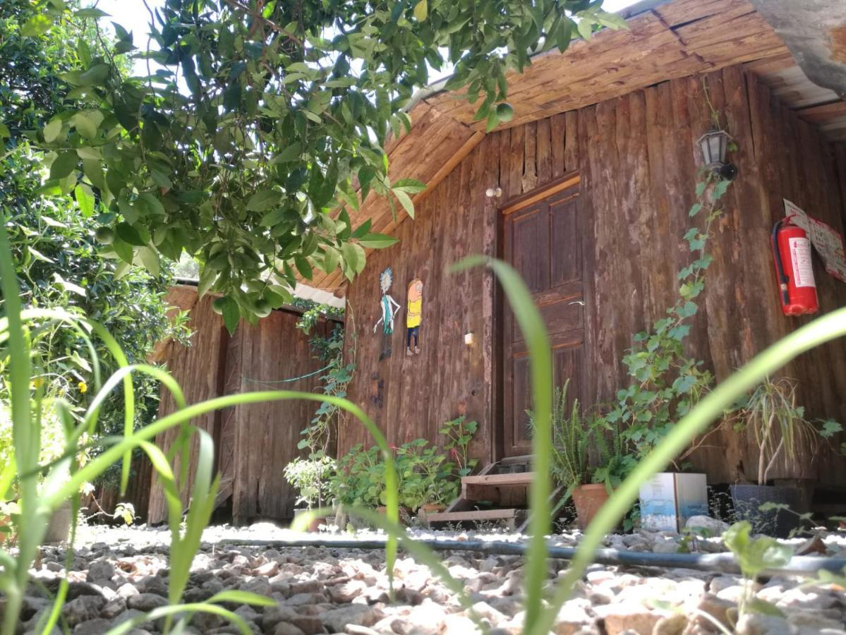 Olympos Yakamoz Pansiyon Extérieur photo