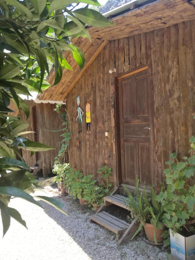 Olympos Yakamoz Pansiyon Extérieur photo