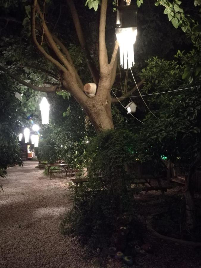 Olympos Yakamoz Pansiyon Extérieur photo