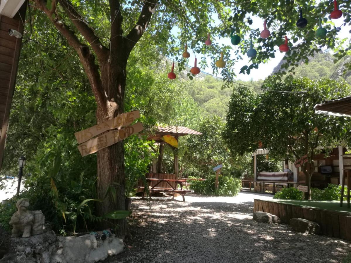 Olympos Yakamoz Pansiyon Extérieur photo