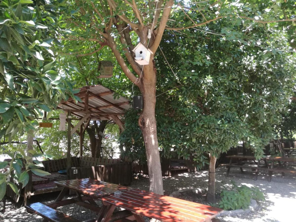 Olympos Yakamoz Pansiyon Extérieur photo