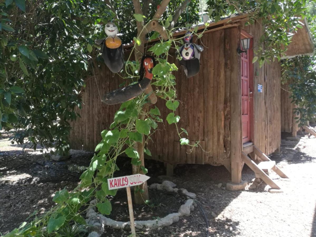 Olympos Yakamoz Pansiyon Extérieur photo