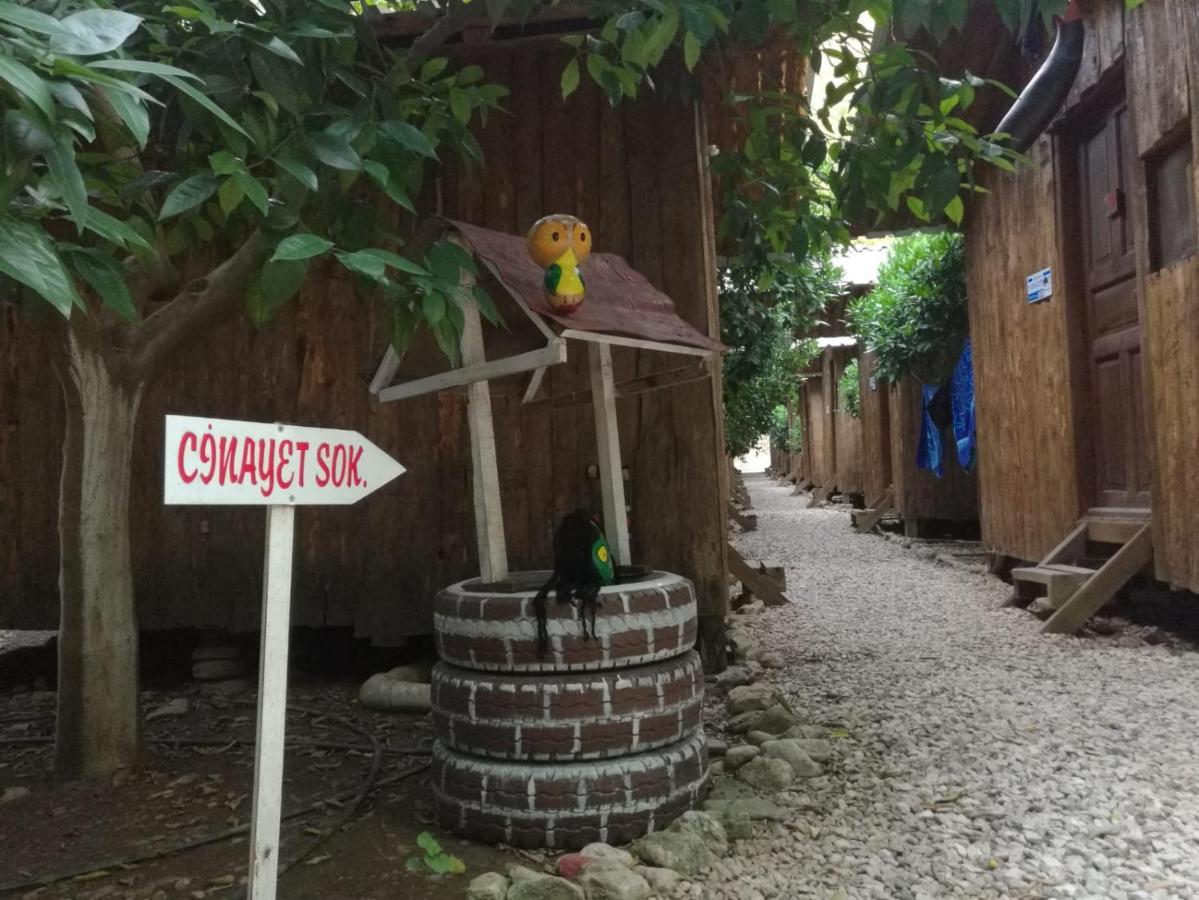 Olympos Yakamoz Pansiyon Extérieur photo