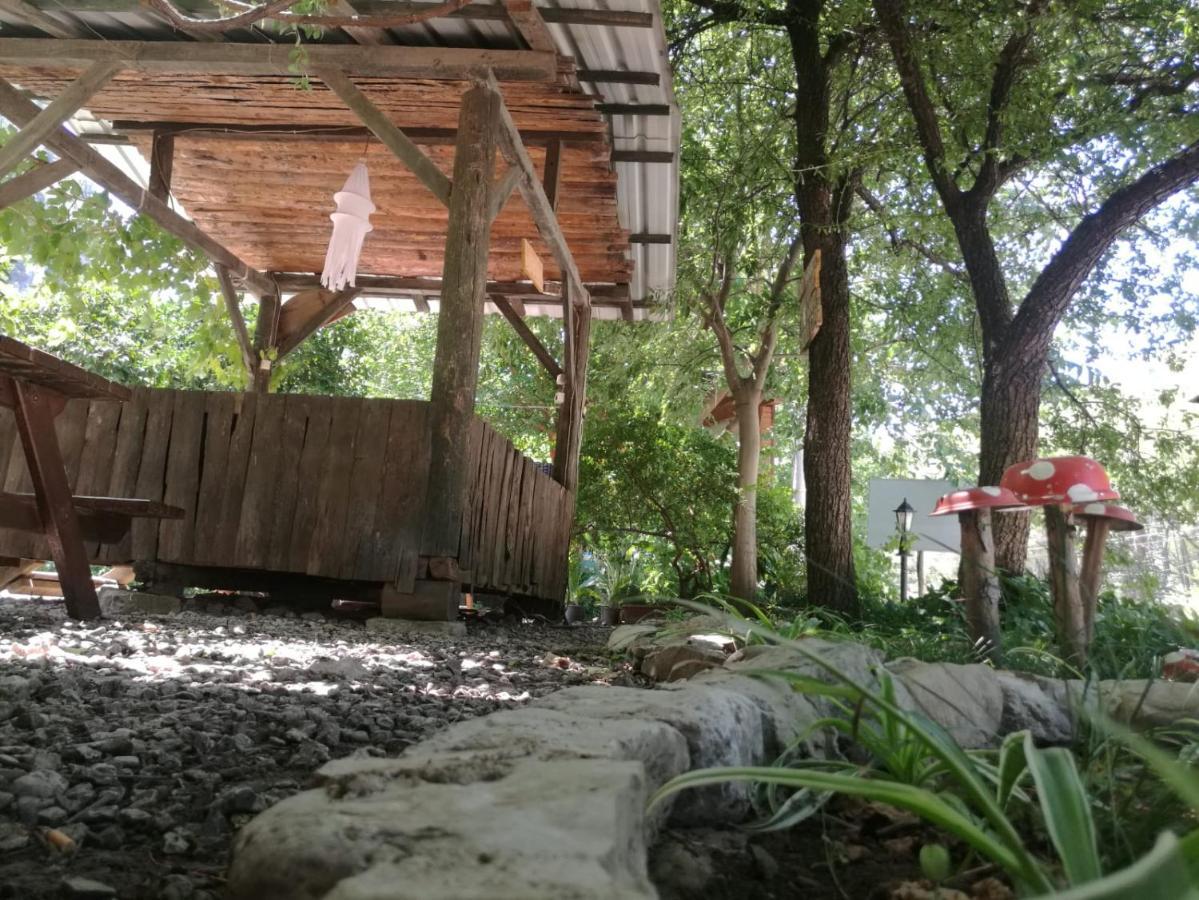 Olympos Yakamoz Pansiyon Extérieur photo