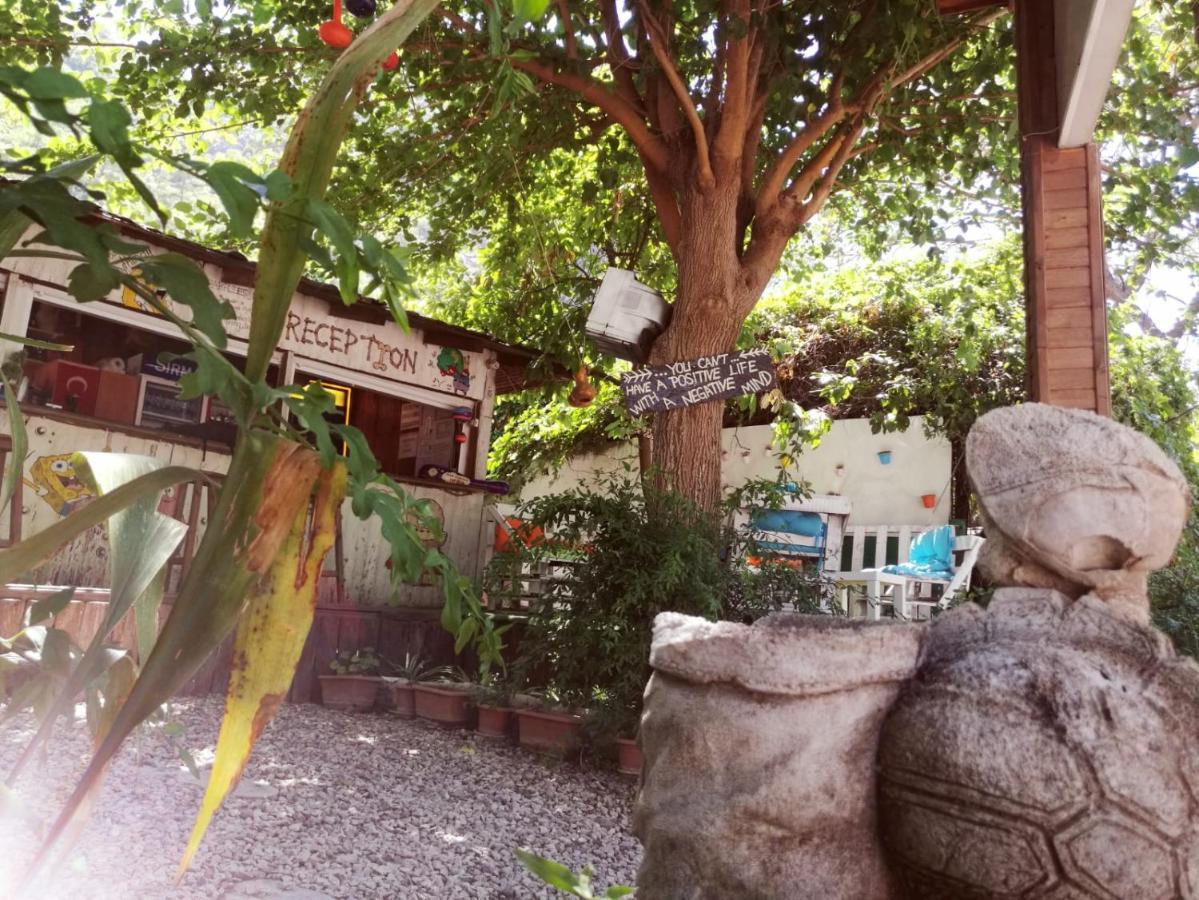 Olympos Yakamoz Pansiyon Extérieur photo