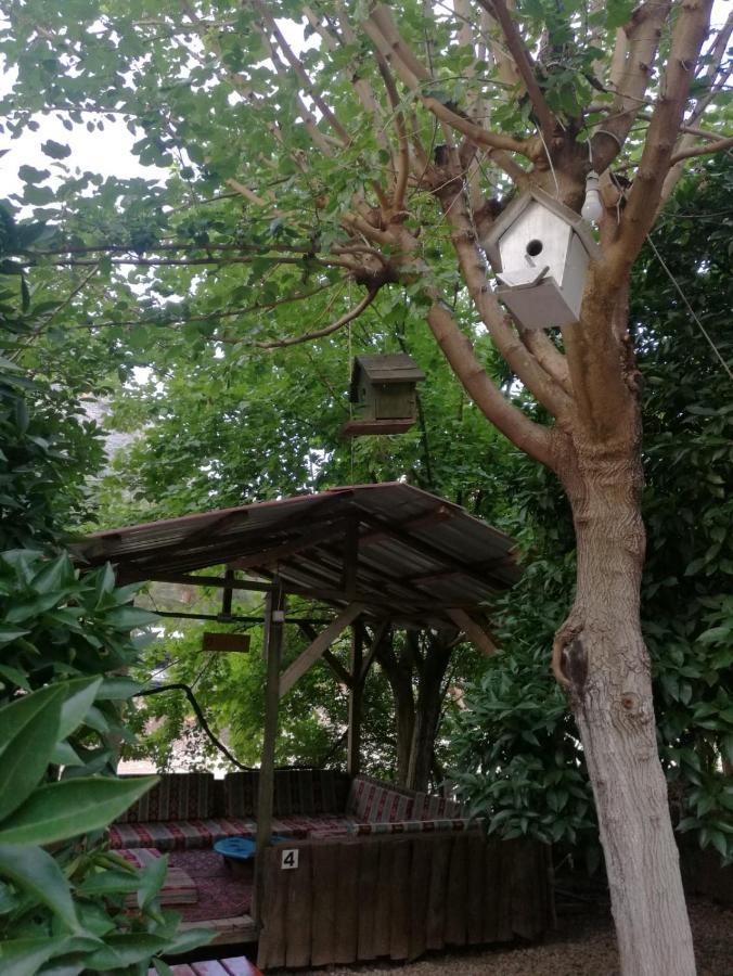 Olympos Yakamoz Pansiyon Extérieur photo