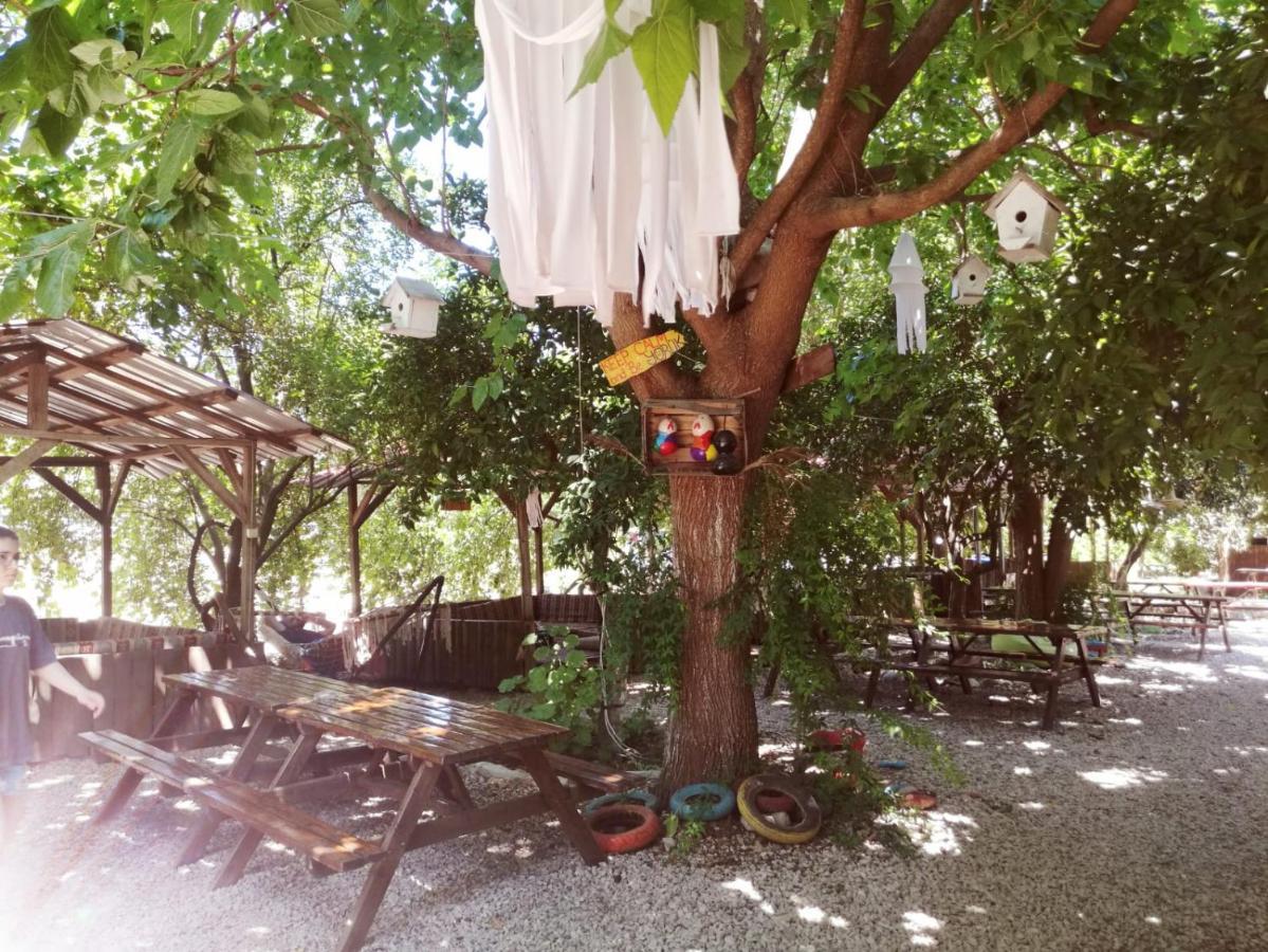 Olympos Yakamoz Pansiyon Extérieur photo